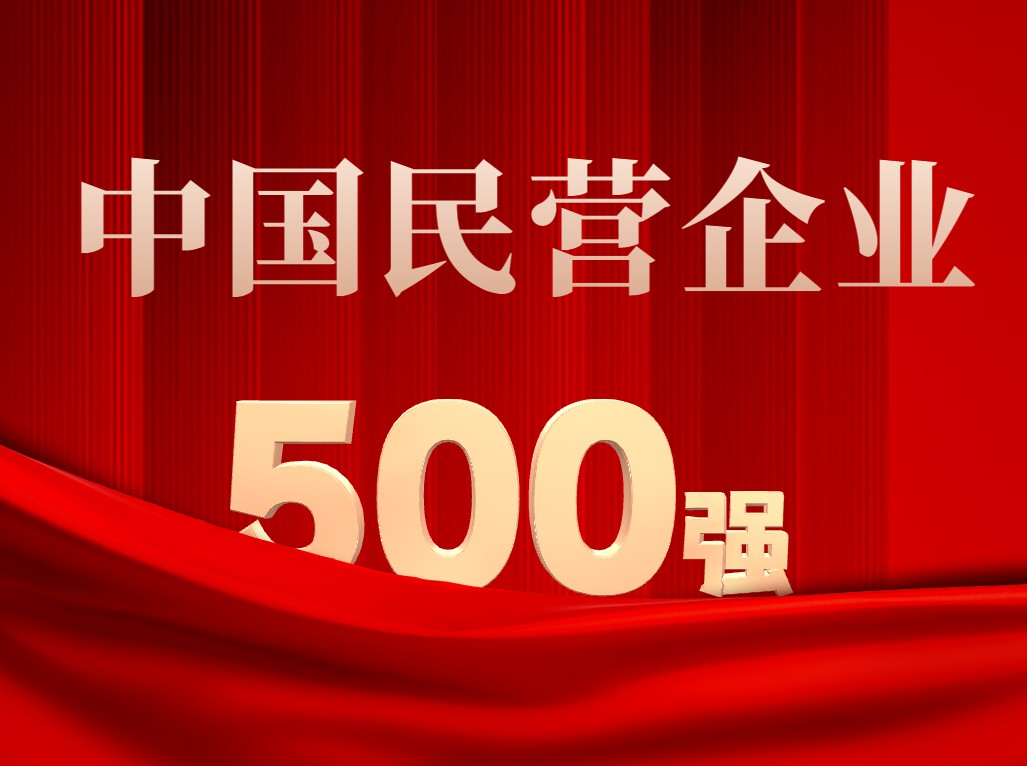 大明第9次入榜“中國民營企業500強”